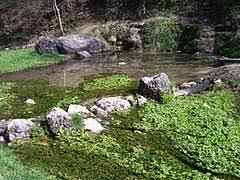 Źródło Będkówki